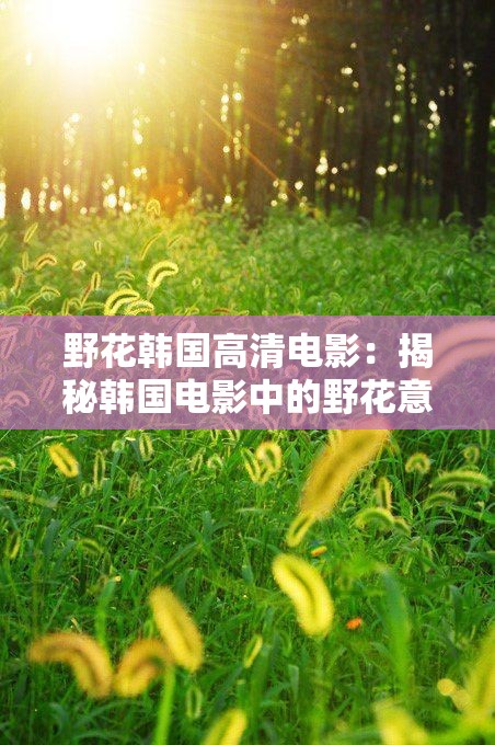 野花韩国高清电影：揭秘韩国电影中的野花意象与文化内涵