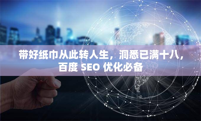 带好纸巾从此转人生，洞悉已满十八，百度 SEO 优化必备