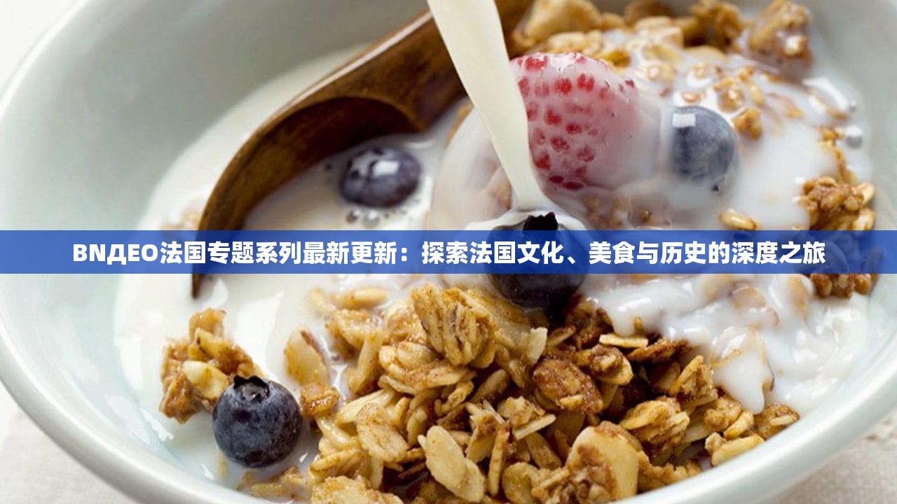 BNДEO法国专题系列最新更新：探索法国文化、美食与历史的深度之旅
