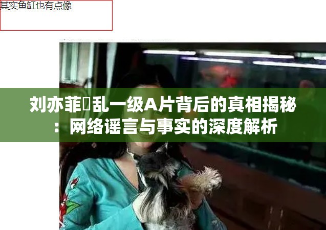 刘亦菲婬乱一级A片背后的真相揭秘：网络谣言与事实的深度解析