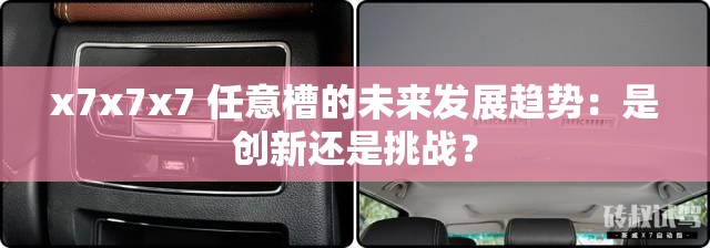 x7x7x7 任意槽的未来发展趋势：是创新还是挑战？