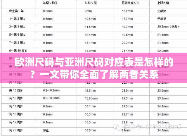 欧洲尺码与亚洲尺码对应表是怎样的？一文带你全面了解两者关系