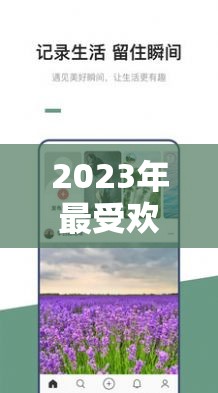 2023年最受欢迎的十大免费交友软件推荐，轻松找到志同道合的朋友
