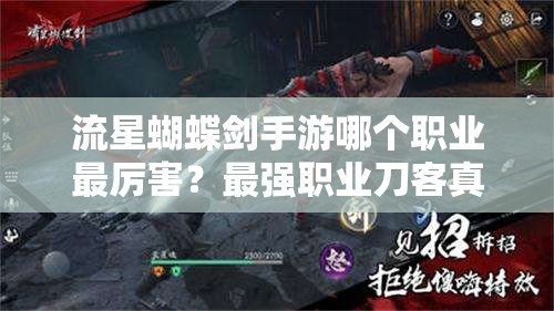 流星蝴蝶剑手游哪个职业最厉害？最强职业刀客真的无敌吗？