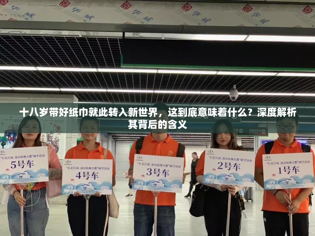 十八岁带好纸巾就此转入新世界，这到底意味着什么？深度解析其背后的含义