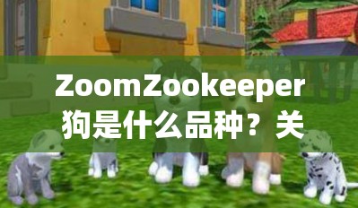 ZoomZookeeper 狗是什么品种？关于它的特点和饲养方法大揭秘