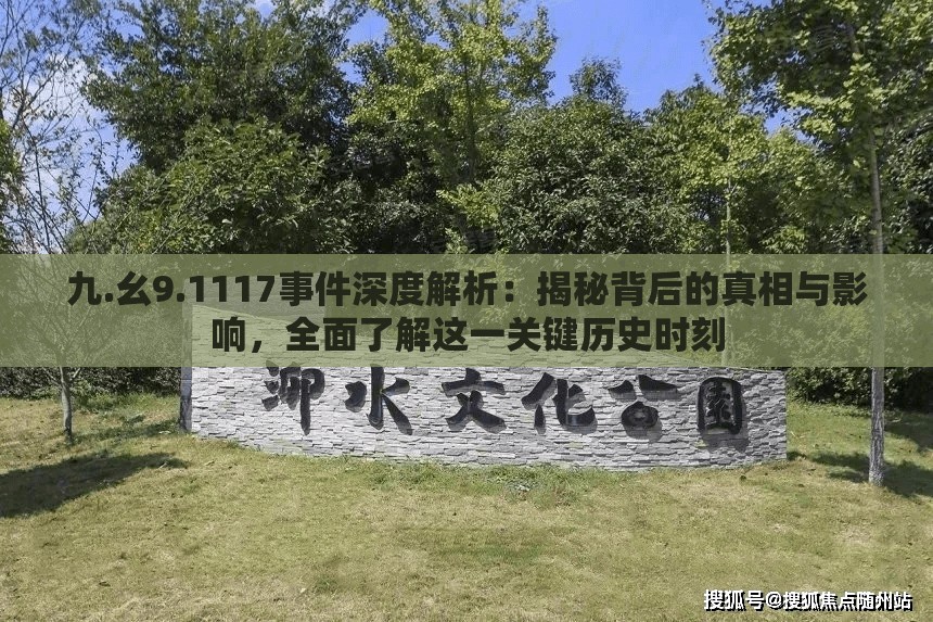 九.幺9.1117事件深度解析：揭秘背后的真相与影响，全面了解这一关键历史时刻