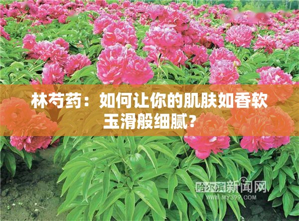 林芍药：如何让你的肌肤如香软玉滑般细腻？