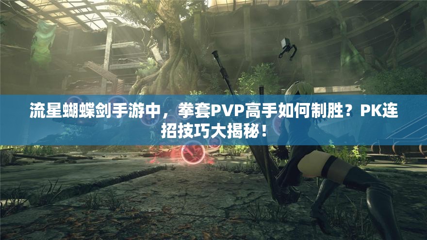 流星蝴蝶剑手游中，拳套PVP高手如何制胜？PK连招技巧大揭秘！