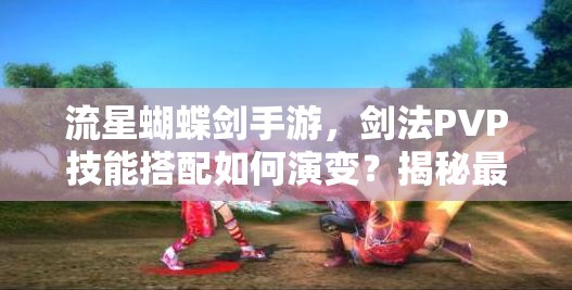 流星蝴蝶剑手游，剑法PVP技能搭配如何演变？揭秘最强搭配悬念！