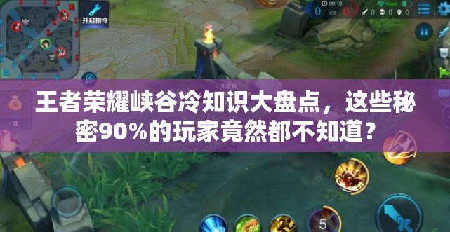 王者荣耀峡谷冷知识大盘点，这些秘密90%的玩家竟然都不知道？