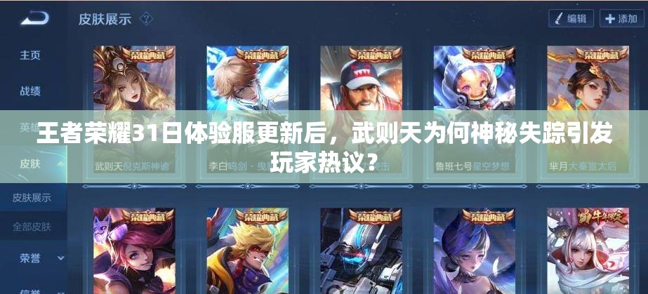 王者荣耀31日体验服更新后，武则天为何神秘失踪引发玩家热议？