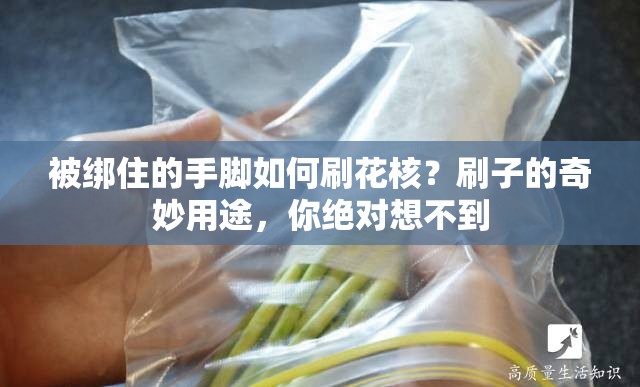 被绑住的手脚如何刷花核？刷子的奇妙用途，你绝对想不到