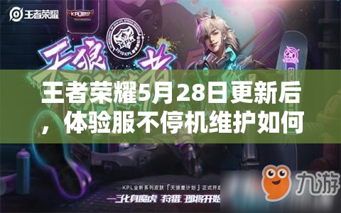 王者荣耀5月28日更新后，体验服不停机维护如何助力资源高效利用？