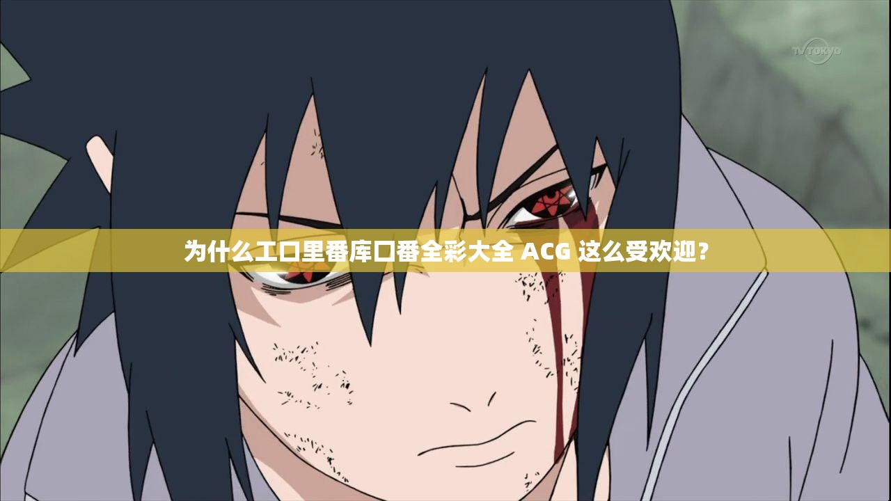 为什么工口里番库囗番全彩大全 ACG 这么受欢迎？