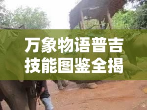 万象物语普吉技能图鉴全揭秘，他的使用方法如何随版本演变，你了解多少？