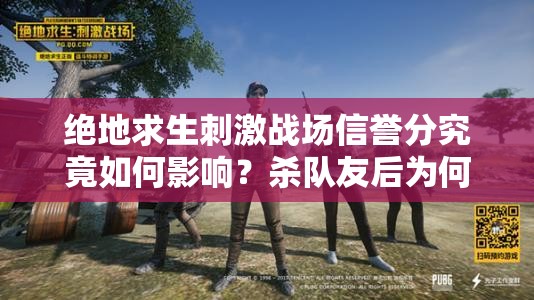 绝地求生刺激战场信誉分究竟如何影响？杀队友后为何再难组队？