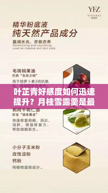 叶芷青好感度如何迅速提升？月桂雪露羹是最佳礼物吗？