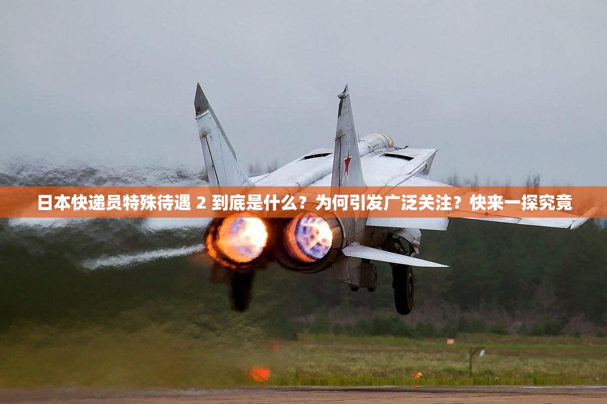 日本快递员特殊待遇 2 到底是什么？为何引发广泛关注？快来一探究竟