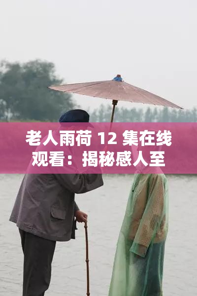 老人雨荷 12 集在线观看：揭秘感人至深的故事