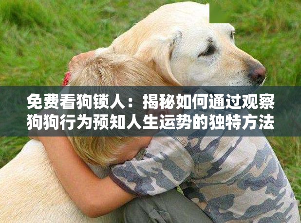 免费看狗锁人：揭秘如何通过观察狗狗行为预知人生运势的独特方法