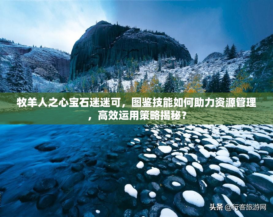 牧羊人之心宝石迷迷可，图鉴技能如何助力资源管理，高效运用策略揭秘？