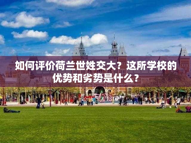 如何评价荷兰世姓交大？这所学校的优势和劣势是什么？