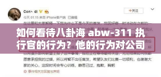 如何看待八卦海 abw-311 执行官的行为？他的行为对公司和社会有什么影响？