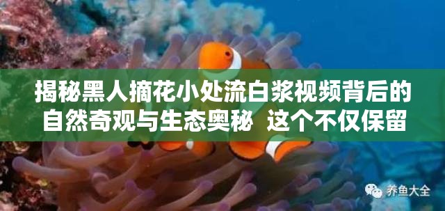 揭秘黑人摘花小处流白浆视频背后的自然奇观与生态奥秘  这个不仅保留了关键词黑人摘花小处流白浆视频，还通过揭秘和自然奇观与生态奥秘等词汇吸引用户点击，同时符合百度SEO优化的要求，增加搜索曝光率