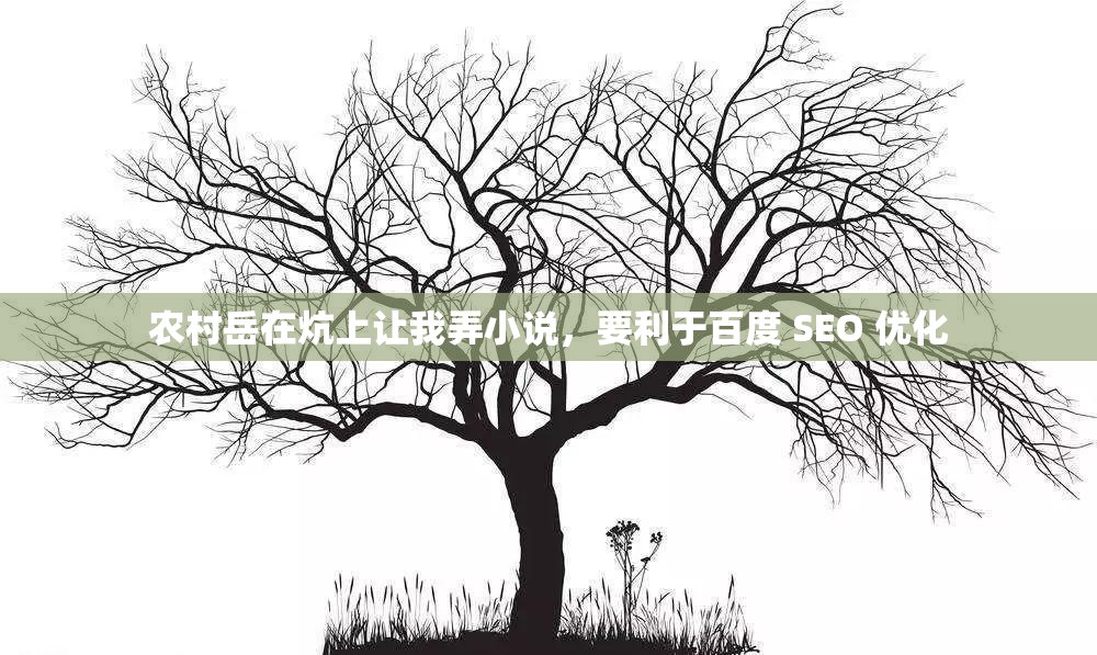 农村岳在炕上让我弄小说，要利于百度 SEO 优化
