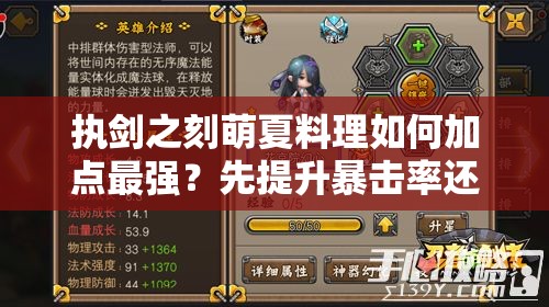 执剑之刻萌夏料理如何加点最强？先提升暴击率还是攻击力？