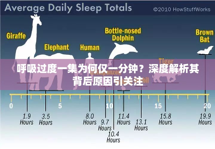 呼吸过度一集为何仅一分钟？深度解析其背后原因引关注