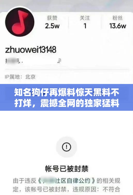 知名狗仔再爆料惊天黑料不打烊，震撼全网的独家猛料持续曝光