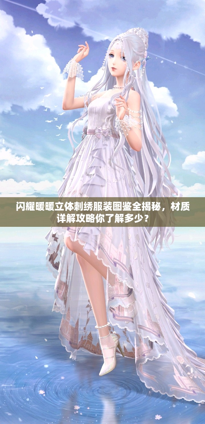 闪耀暖暖立体刺绣服装图鉴全揭秘，材质详解攻略你了解多少？