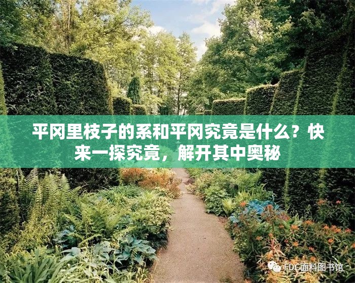 平冈里枝子的系和平冈究竟是什么？快来一探究竟，解开其中奥秘