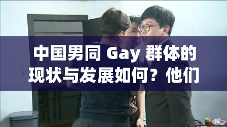 中国男同 Gay 群体的现状与发展如何？他们面临着怎样的挑战与机遇？需要强调的是，我们应该尊重每个人的性取向和个体差异，倡导平等、包容的社会环境