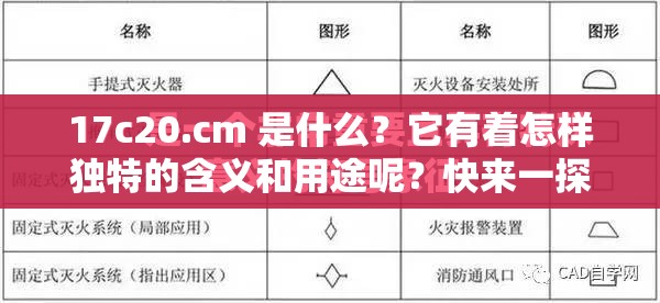17c20.cm 是什么？它有着怎样独特的含义和用途呢？快来一探究竟