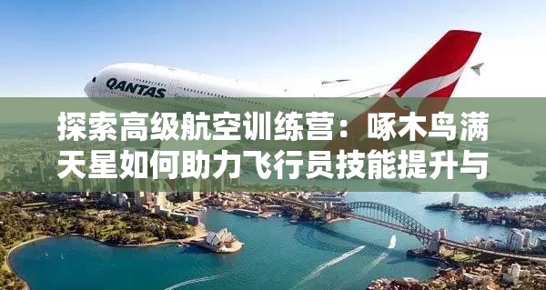探索高级航空训练营：啄木鸟满天星如何助力飞行员技能提升与职业发展