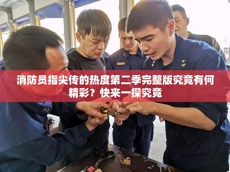 消防员指尖传的热度第二季完整版究竟有何精彩？快来一探究竟