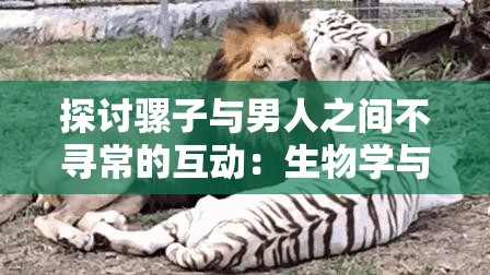 探讨骡子与男人之间不寻常的互动：生物学与社会学的交叉分析