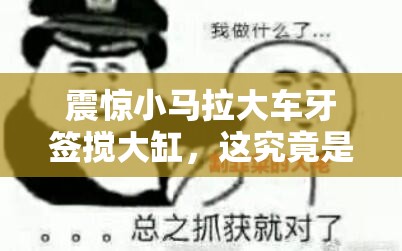 震惊小马拉大车牙签搅大缸，这究竟是道德的沦丧还是人性的扭曲？
