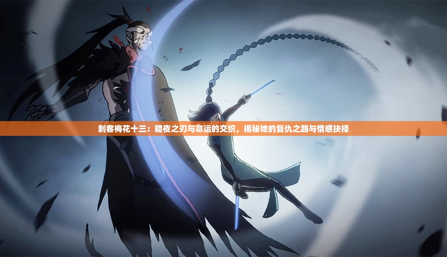 刺客梅花十三：暗夜之刃与命运的交织，揭秘她的复仇之路与情感抉择