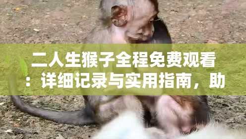 二人生猴子全程免费观看：详细记录与实用指南，助你全面了解全过程