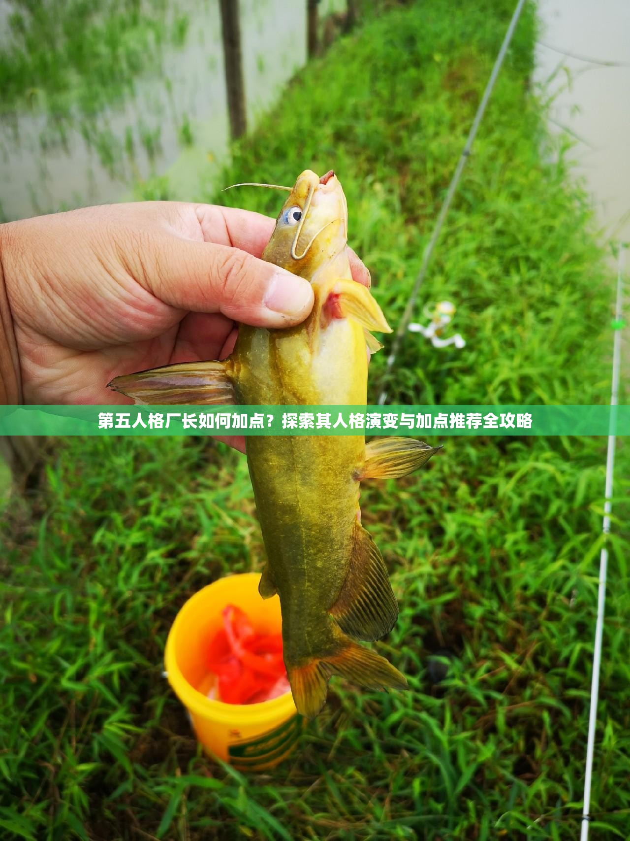 第五人格厂长如何加点？探索其人格演变与加点推荐全攻略