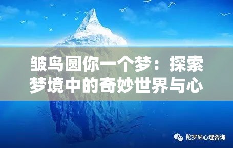 皱鸟圆你一个梦：探索梦境中的奇妙世界与心灵疗愈