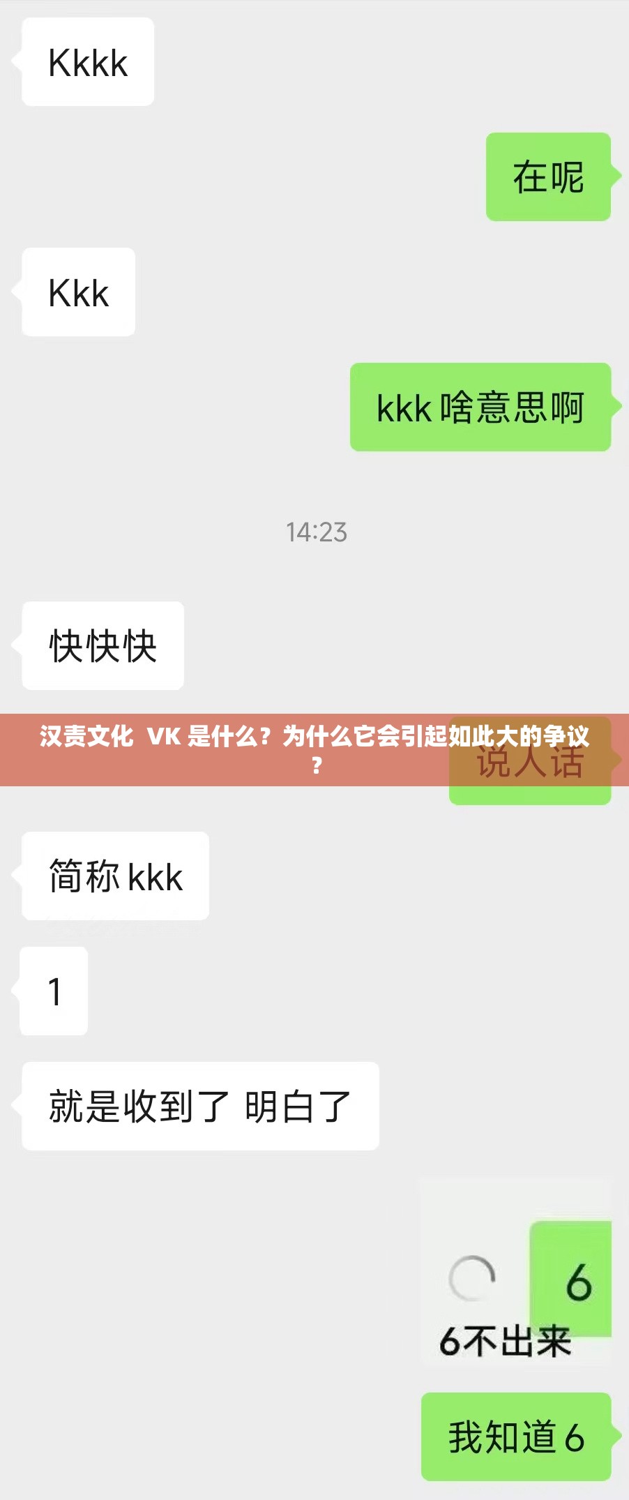 汉责文化  VK 是什么？为什么它会引起如此大的争议？