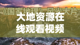 大地资源在线观看视频在线观看免费高清：全面解析资源获取与高清播放技巧