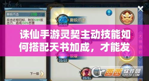 诛仙手游灵契主动技能如何搭配天书加成，才能发挥最大战斗力？