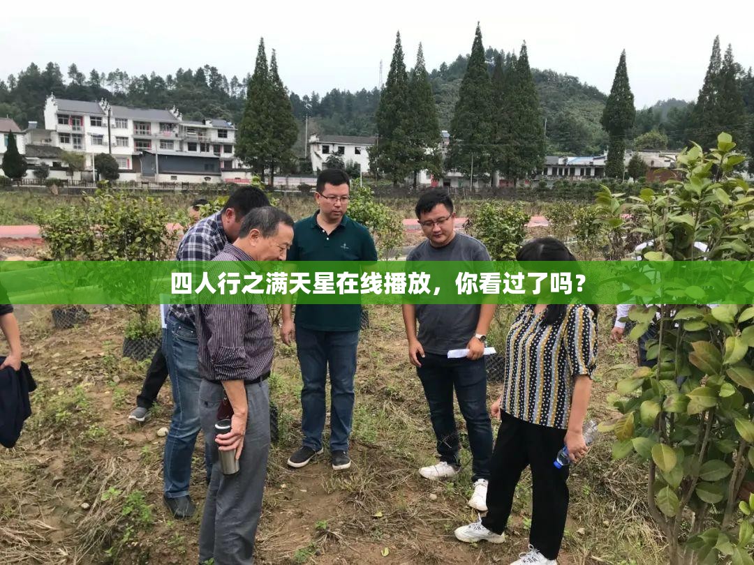 四人行之满天星在线播放，你看过了吗？
