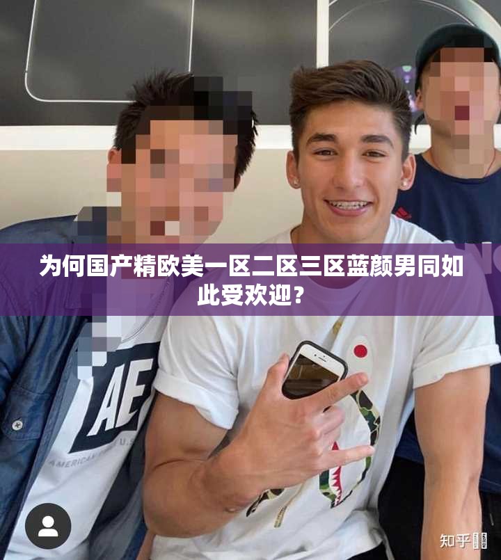 为何国产精欧美一区二区三区蓝颜男同如此受欢迎？